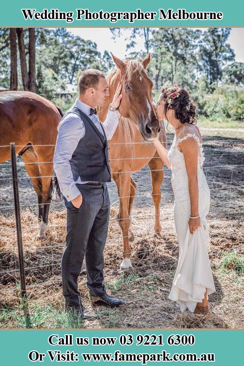 Melbourne Wedding Photography